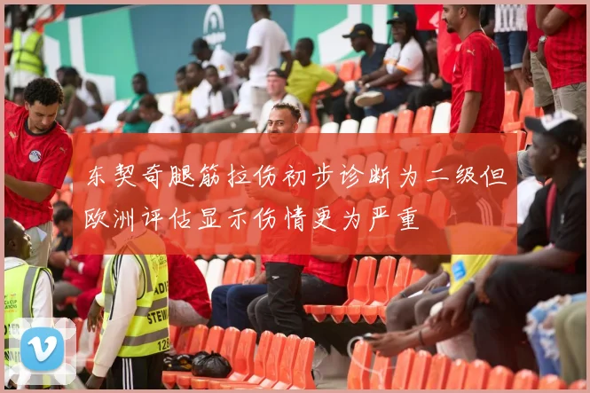 东契奇腿筋拉伤初步诊断为二级但欧洲评估显示伤情更为严重