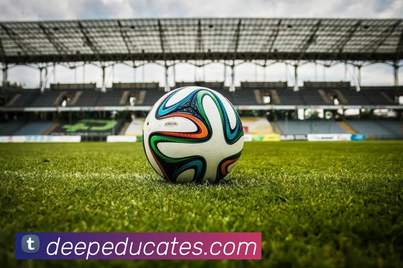 奖项证书